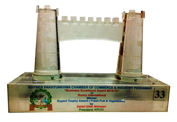 Business Excellence Award 2012-13
