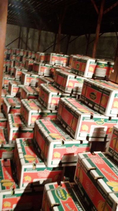 Mango Cold Storage Facility