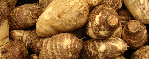 Arvi (Colocasia)