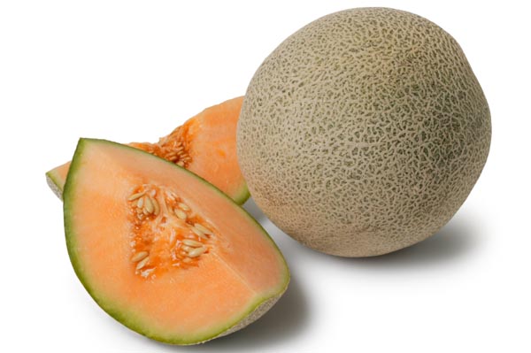 Cantaloupe