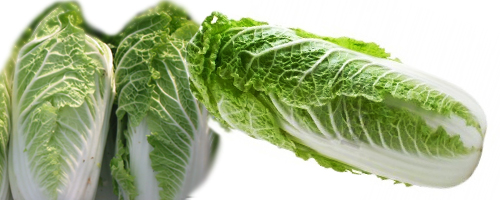 Chinese Cabbage