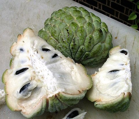 Custard Apple