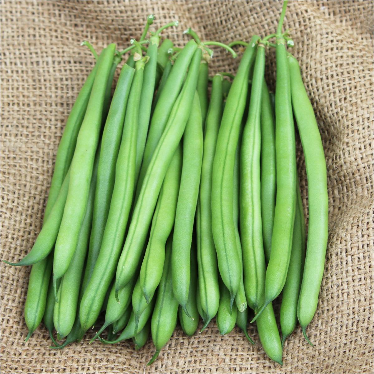 Fresh Beans
