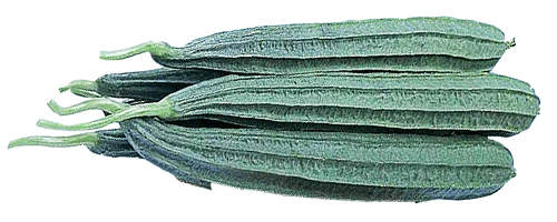 Luffa (Redge Gourd)